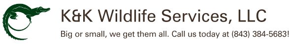 K&K Wildlife Services, LLC